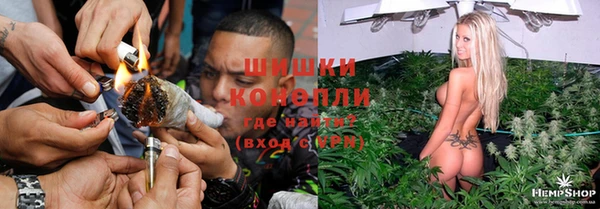 ПСИЛОЦИБИНОВЫЕ ГРИБЫ Абинск