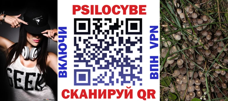 Псилоцибиновые грибы Psilocybine cubensis  наркотики  Бирюсинск 